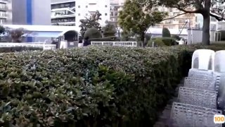 日韩精品.刚刚更新.汽车总动员1_亚洲性夜色九九九久久久,国产福利一区二区三区在线视频